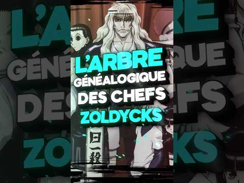 L'ARBRE GÉNÉALOGIQUE DES CHEFS ZOLDYCKS DANS HUNTER X HUNTER ! #hxh #anime #manga #hunterxhunter
