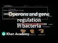 Gene Regulation Concepts and Mechanisms