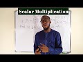 Matrix Multiplication and Scalar Operations