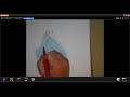 Understanding Number Lines and Fractions