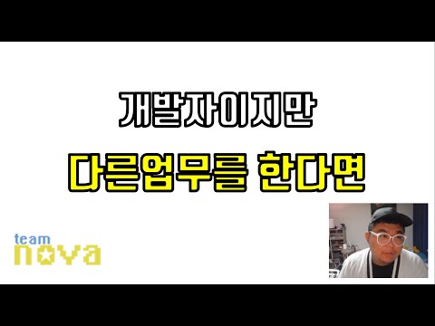개발자로 취직했지만 개발을 안해요.