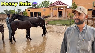 Barish Nhi Ruk Rahi Flood Ka Khatra 