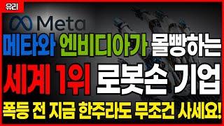 ⚠️메타가 인수하려는… 로봇 핵심 기술주 ‘이 주식’ 8월 무섭게 폭등할 겁니다.