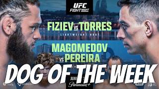 UFC Baku Dog of the week