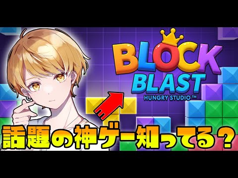 【PR】話題の神ゲーでハイスコア出す！🍉ブロックブラスト Block Blast