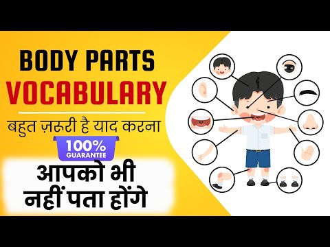 Body Parts Vocabulary Every Student Should Know in Hindi and English - English Educational Video
