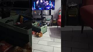 Live highlight