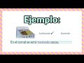 Comprensión del Video Tutorial