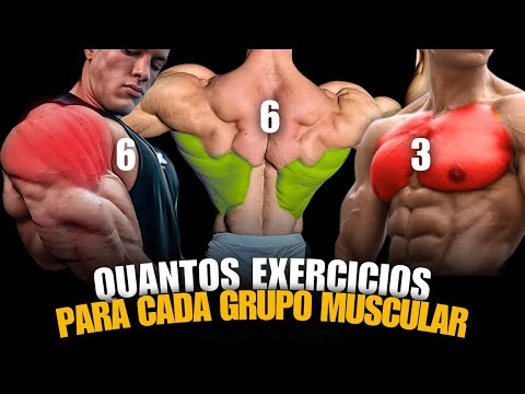 O NUMERO IDEAL DE EXERCICIOS PARA CADA GRUPO MUSCULAR!