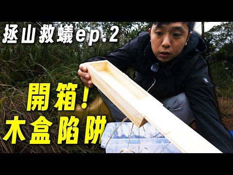 開箱！木盒陷阱活捉逮長腳捷山蟻?｜兩週過後長腳捷山蟻入住了!?｜《拯山救蟻》Ep.02｜【臺灣蟻窟】