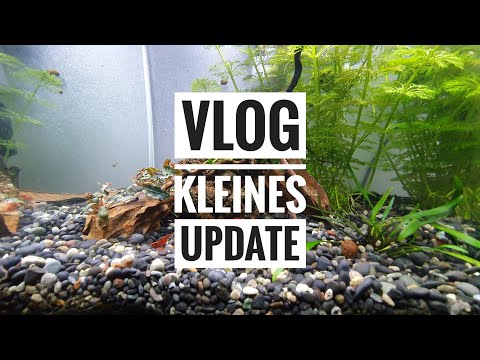 VLOG - Kleines Update