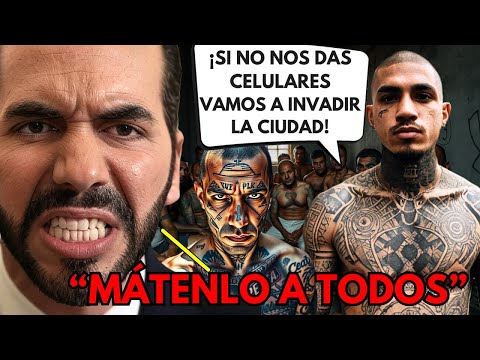 PRESOS MANDAN MENSAJE IMPACTANTE A NAYIB BUKELE — LO QUE HIZO BUKELE TE DEJARÁ SIN PALABRAS!