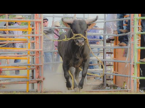 !!HIJOS DEL FAVORITO EN USA!!SELECCION MICHOACANA EN COLUSA 2025!!