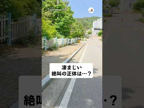 猫の動画サムネイル - ジョギングの帰り道、鳴き声の正体はまさかの…！｜PECO