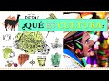 Understanding Culture