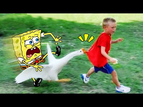 Best Of Funny Fails Videos Compilation - Spongebob in Real Life | Woa Doodland