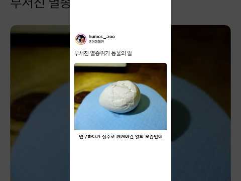 부서진 멸종위기 동물의 알