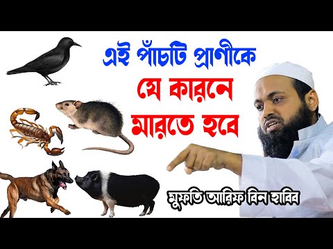 এই পাঁচটি প্রণী যে কারনে মারতে হবে arif bin habib new banlgawaz আরিফ বিন হাবিব নতুন বাংলা ওয়াজ২০২৫