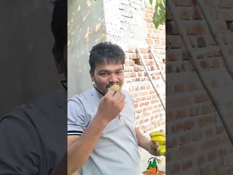 Star fruits party... #bls odisha wildlife.