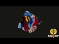Understanding the Video Tutorial