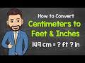 Converting Centimeters to Feet and Inches