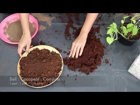 How to Prepare Potting Soil for Indoor Plants | Garden Up