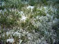 Seagrass Conservation and Awareness
