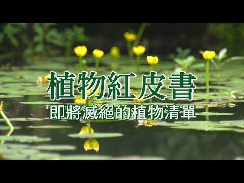 【植物保育】植物紅皮書-即將滅絕的植物清單(我們的島 第1001集 2019-04-22) - YouTube(14分14秒)