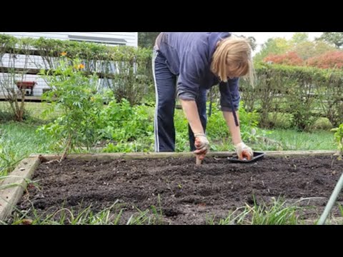Home Garden | Watch Autumn Raised Bed Transformation