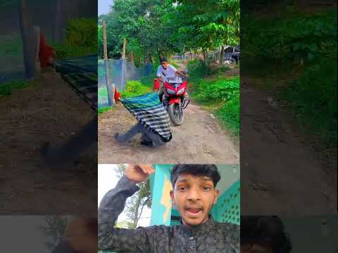 মাথা কোন দিকে আর পা কোন দিকে একটু দেখেন তো🤣🤣 #funny #viralvideo #shorts #fyp