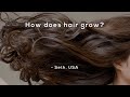 Understanding Hair Growth