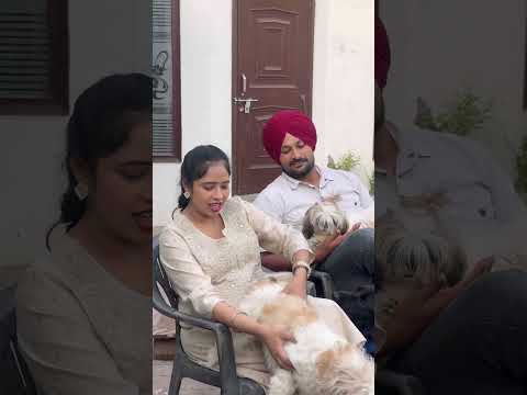 ❤️❤️✌️✌️ #punjabisong #punjabimusic #song #love #music #ukbhangra #puttjattda