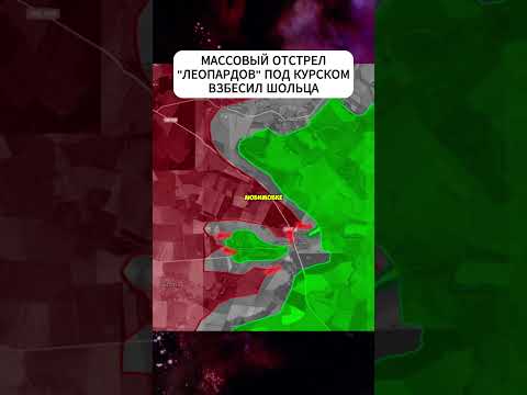 Шольц в ярости. ВСУ потеряли под Курском армаду "Леопардов" #shortvideo #новости #short #shorts