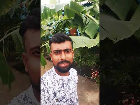 chhath puja #chhath #chhathpuja