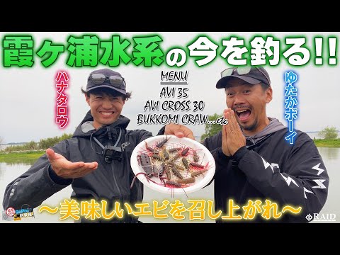 GoPro釣果便!!「霞水系の