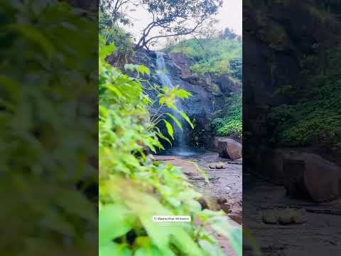 ✨️ #naturesounds #placestovisit #viralshorts #shorts #share #chillnreel #viralreels #reelitfeelit