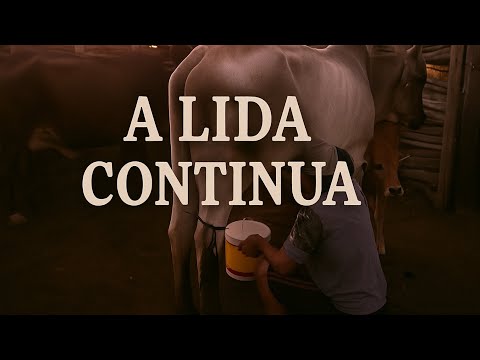 A Lida Continua: Vida na Roça ao Amanhecer 🌾🐄