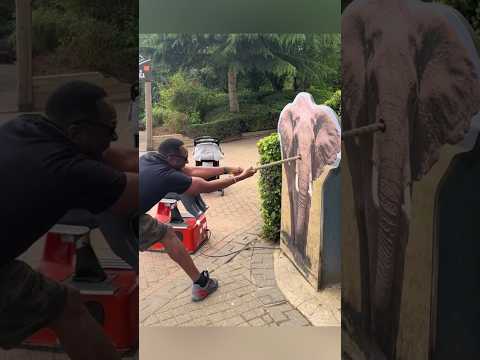 Power of Tiger😳|#shorts