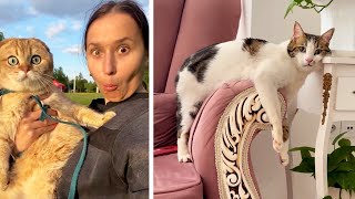 #51 Die besten Videos 2025 || ✪ Stern DuTube