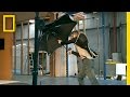 Blunt Umbrella Wind Tunnel Testing
