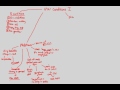 Hardy-Weinberg Equilibrium Concepts