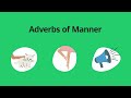 Mastering Adverbs of Manner in English Grammar