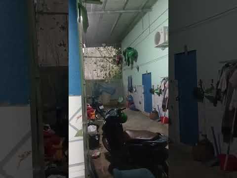 Bình Dương: Cơn mưa lớn sáng nay 6-3-2026