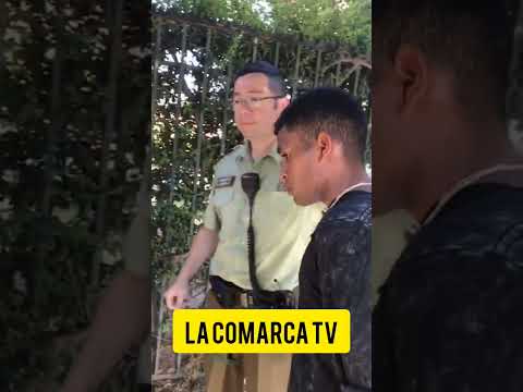 🛑 Robo,  El rápido actuar de Carabineros logro la detención y recuperación de lo sustraído. San Fdo.