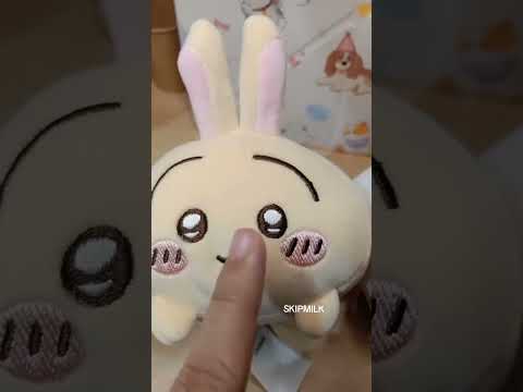 Ahh happy I was able to complete the 3 of them💗💙💛 #chiikawa #chiikawaland #hachiware #usagi #miniso