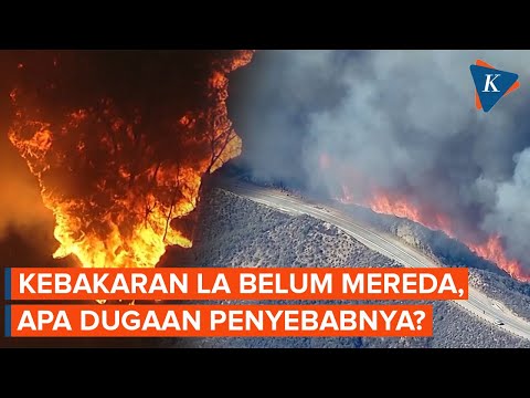 Los Angeles Kembali Membara, Apa Penyebabnya?