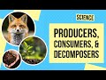 Exploring Ecosystem Roles: Producers, Consumers, and Decomposers