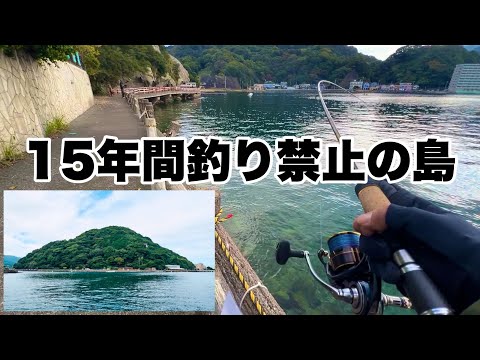 水族館がある釣り禁止の島で釣りしたらパラダイスなのか！！！