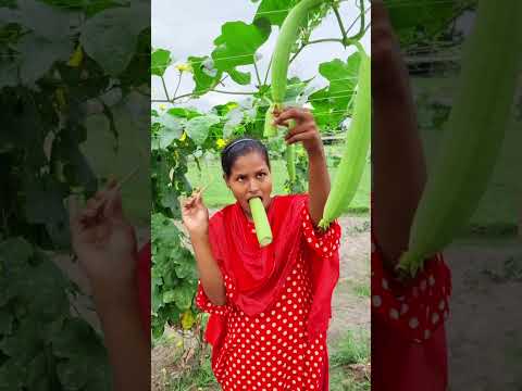 #reels #funny #shortvideo #foryou #india