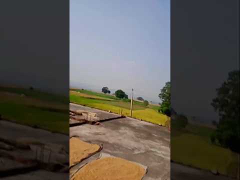 mader #bhojpuri #shorts